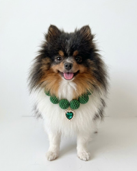 Mochi Collar