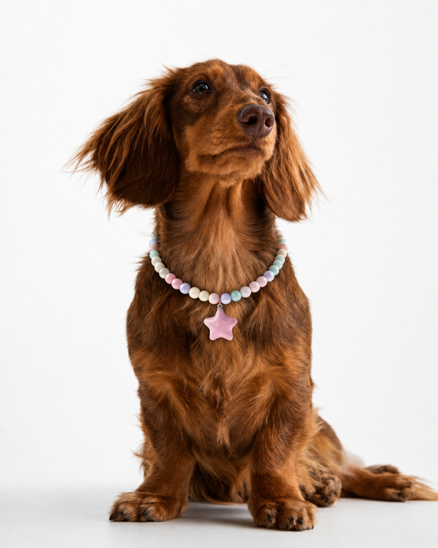 ZZ Collar
