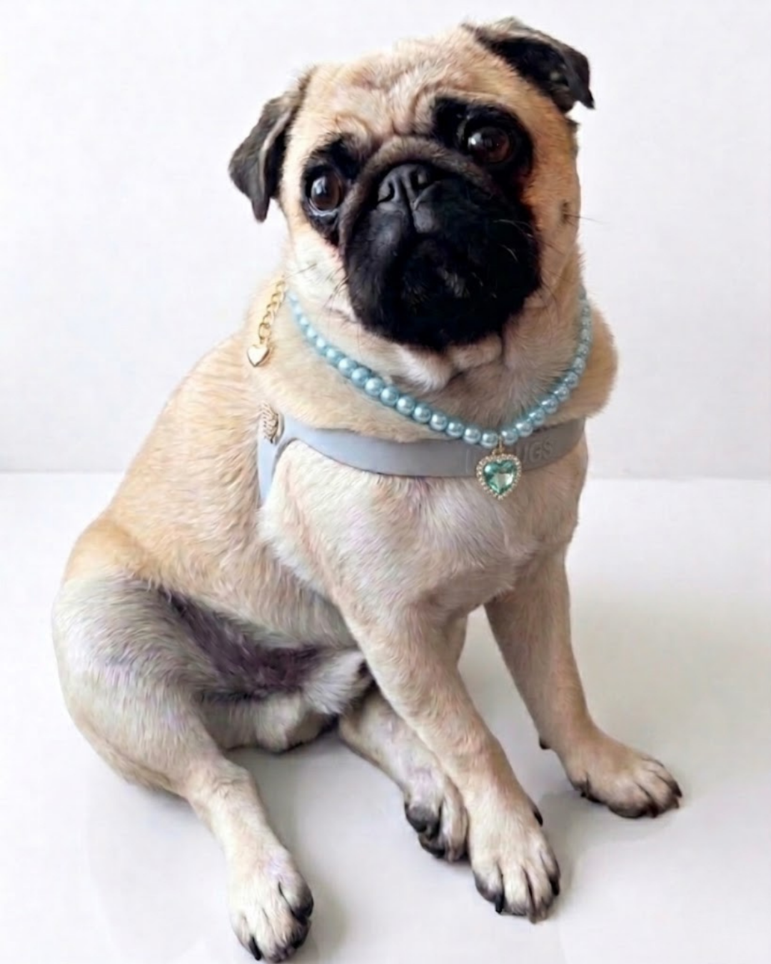 Junie Collar
