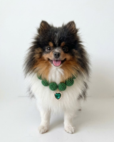 Mochi Collar
